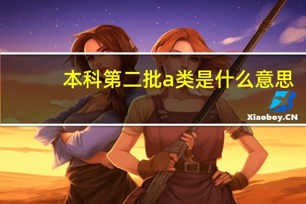 本科第二批a类是什么意思