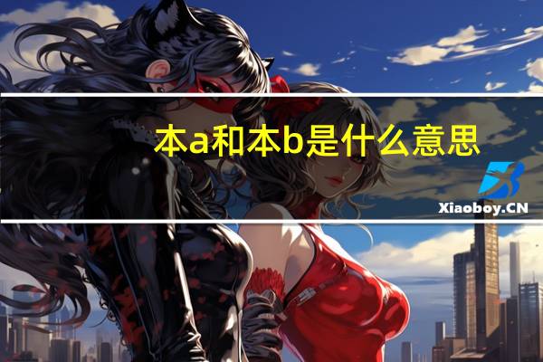 本a和本b是什么意思