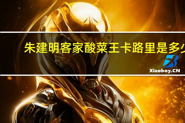 朱建明 客家酸菜王卡路里是多少