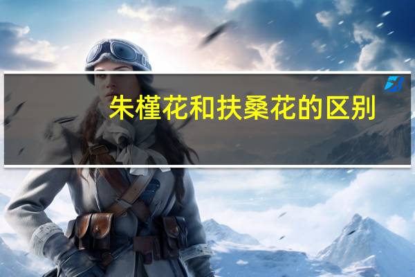 朱槿花和扶桑花的区别