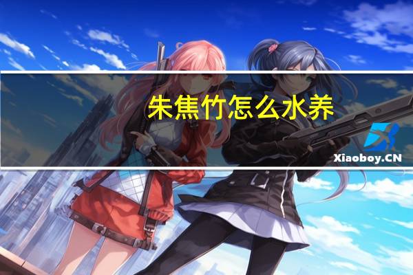 朱焦竹怎么水养
