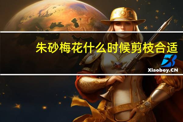 朱砂梅花什么时候剪枝合适