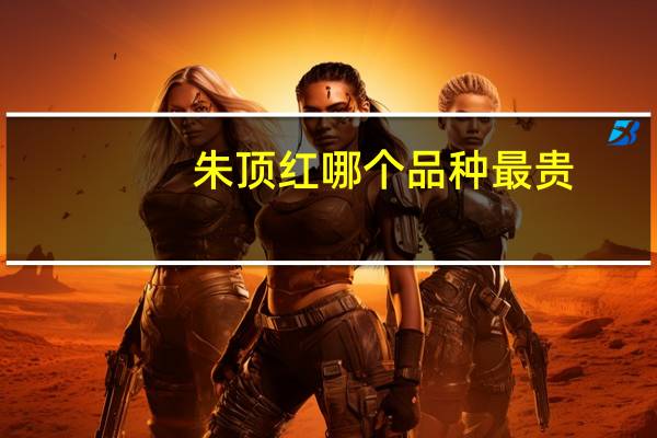 朱顶红哪个品种最贵