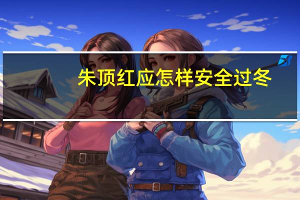 朱顶红应怎样安全过冬