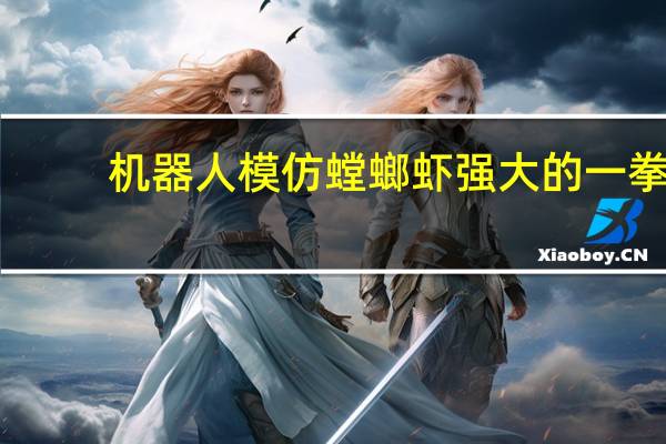 机器人模仿螳螂虾强大的一拳