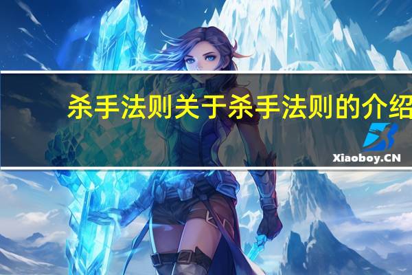 杀手法则 关于杀手法则的介绍