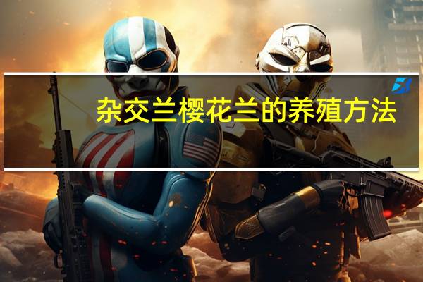 杂交兰樱花兰的养殖方法