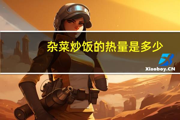 杂菜炒饭的热量是多少