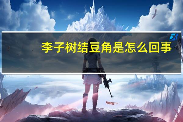 李子树结豆角是怎么回事