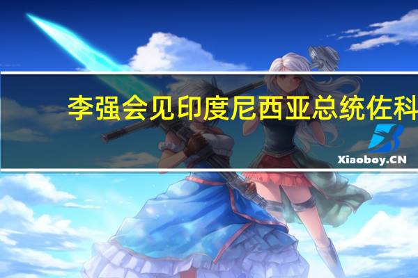 李强会见印度尼西亚总统佐科