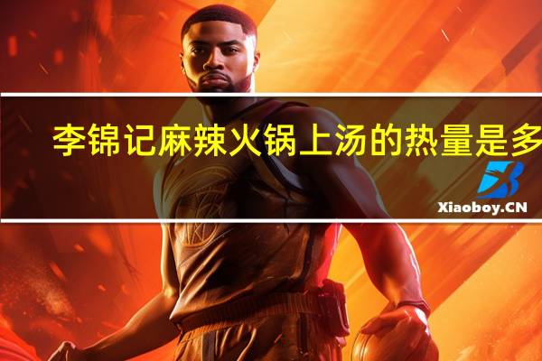 李锦记 麻辣火锅上汤的热量是多少