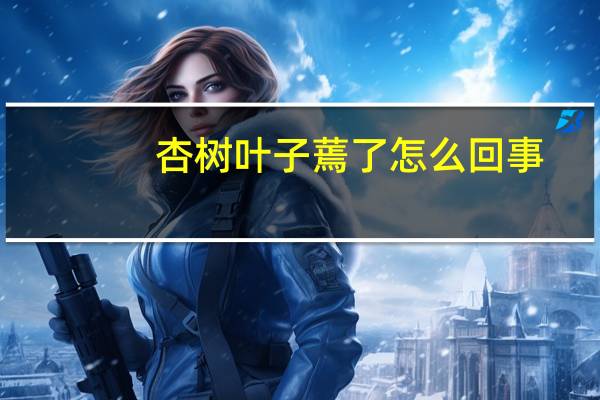 杏树叶子蔫了怎么回事