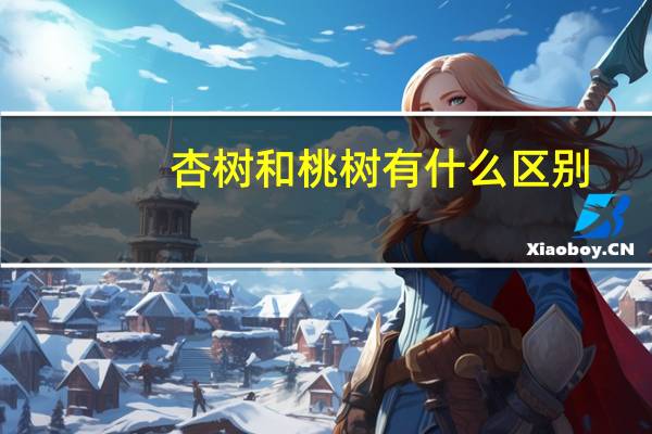 杏树和桃树有什么区别