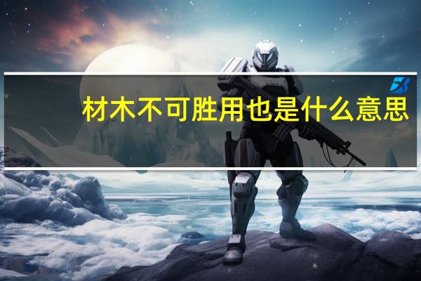 材木不可胜用也是什么意思