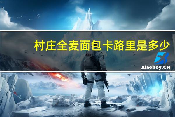 村庄 全麦面包卡路里是多少