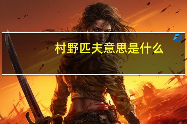 村野匹夫意思是什么