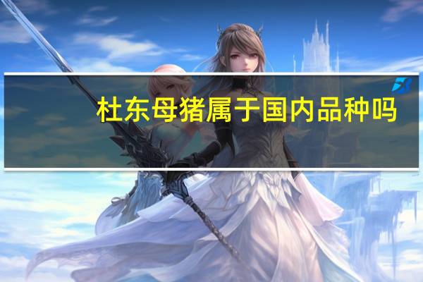 杜东母猪属于国内品种吗