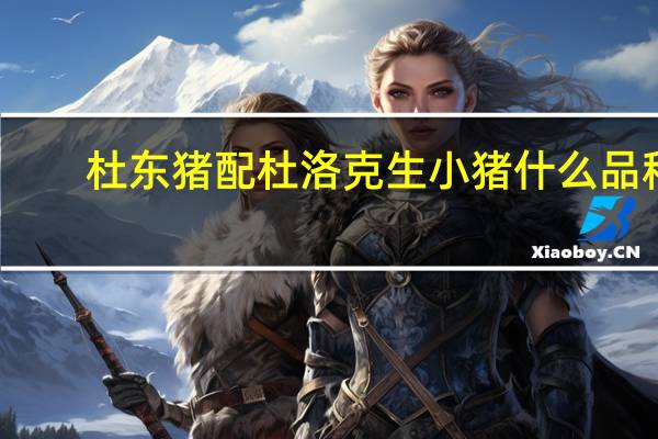 杜东猪配杜洛克生小猪什么品种