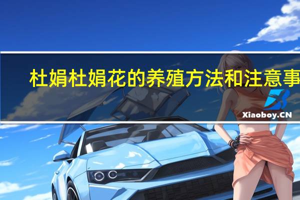 杜娟杜娟花的养殖方法和注意事项