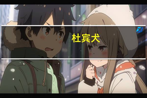 杜宾犬(关于杜宾犬的介绍)