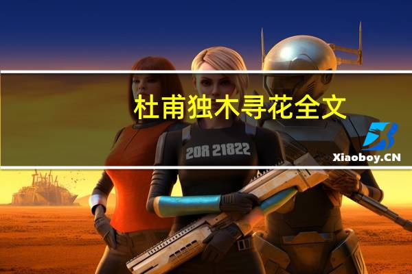 杜甫独木寻花全文