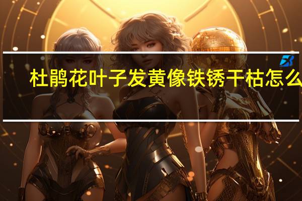 杜鹃花叶子发黄像铁锈干枯怎么办