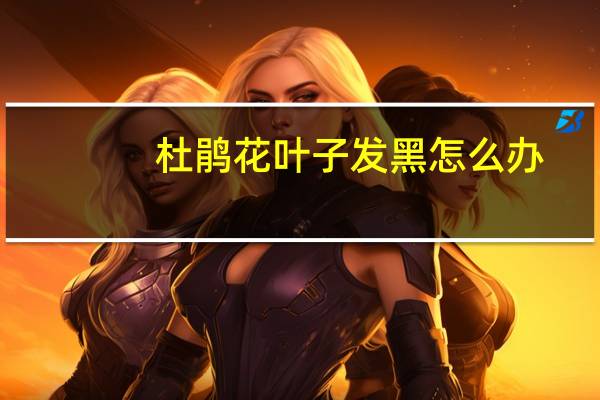 杜鹃花叶子发黑怎么办