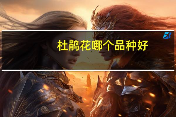 杜鹃花哪个品种好