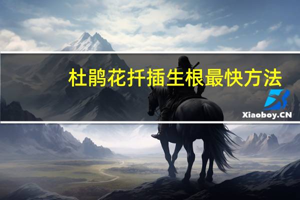 杜鹃花扦插生根最快方法