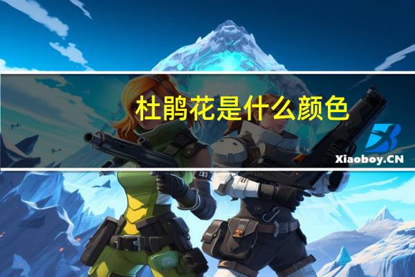杜鹃花是什么颜色