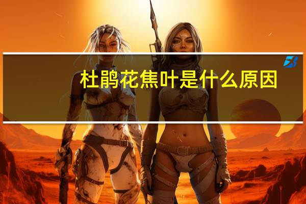 杜鹃花焦叶是什么原因