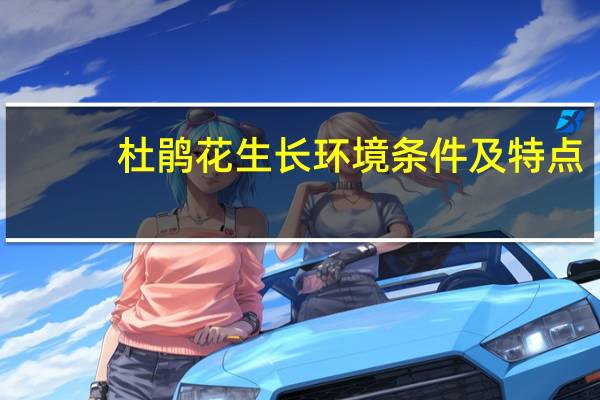 杜鹃花生长环境条件及特点