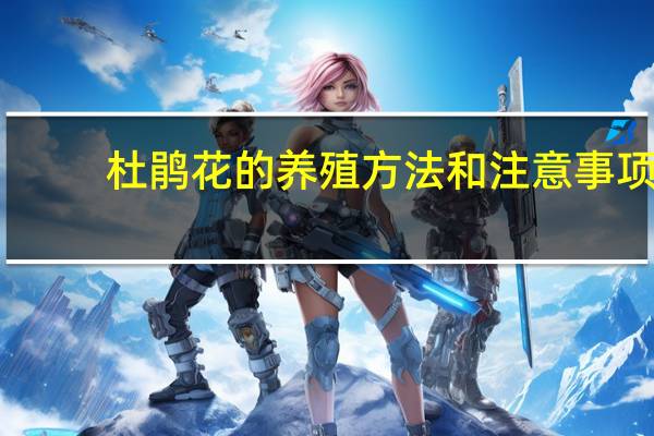 杜鹃花的养殖方法和注意事项：环境,盆土选择很重要