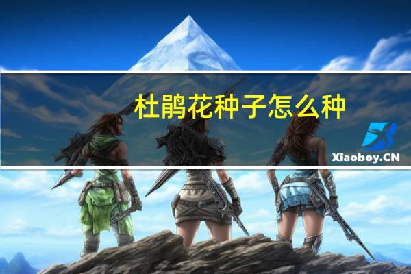 杜鹃花种子怎么种
