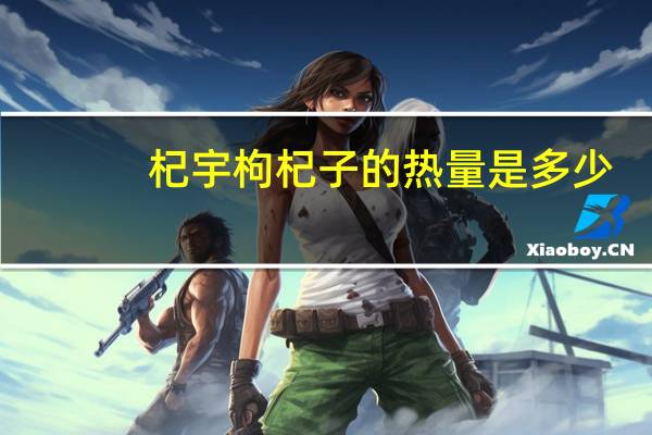杞宇 枸杞子的热量是多少