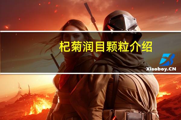 杞菊润目颗粒介绍