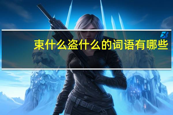 束什么盗什么的词语有哪些?