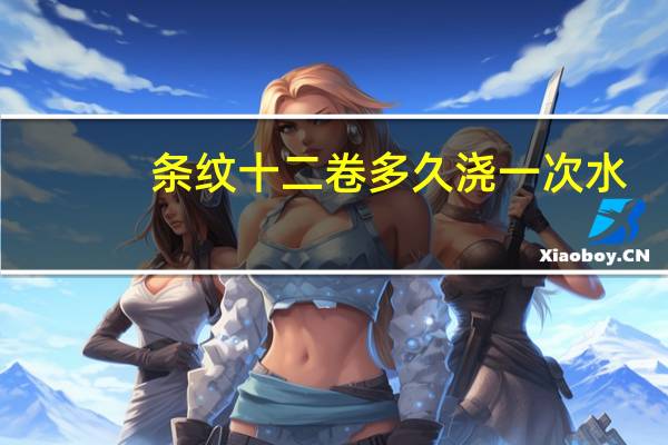 条纹十二卷多久浇一次水