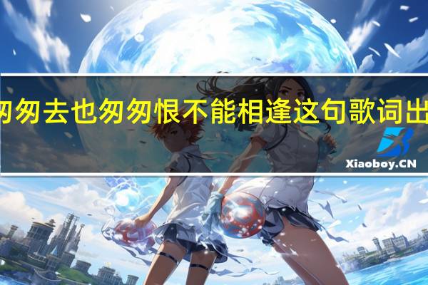 来也匆匆去也匆匆恨不能相逢这句歌词出自哪首歌曲（来也匆匆去也匆匆恨不能相逢什么歌名）