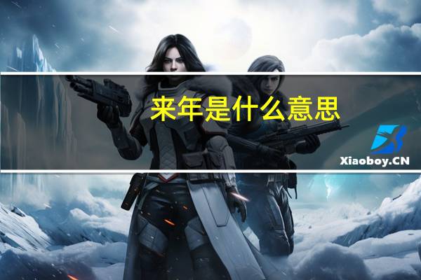 来年是什么意思