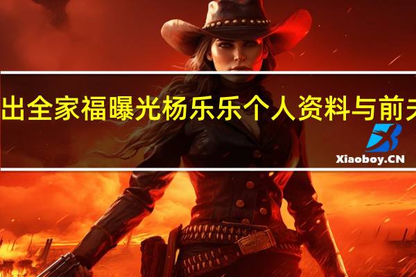 杨乐乐复出全家福曝光 杨乐乐个人资料与前夫离婚真相揭秘(组图)