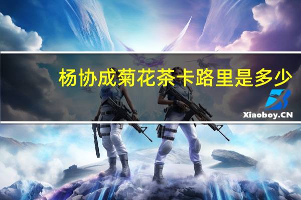 杨协成 菊花茶卡路里是多少