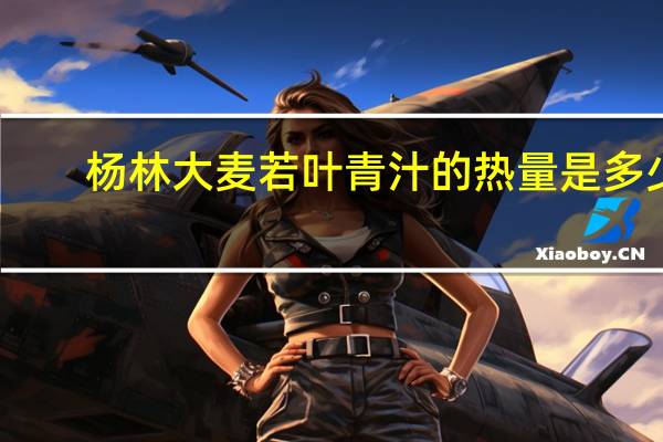 杨林 大麦若叶青汁的热量是多少