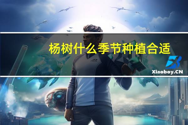 杨树什么季节种植合适