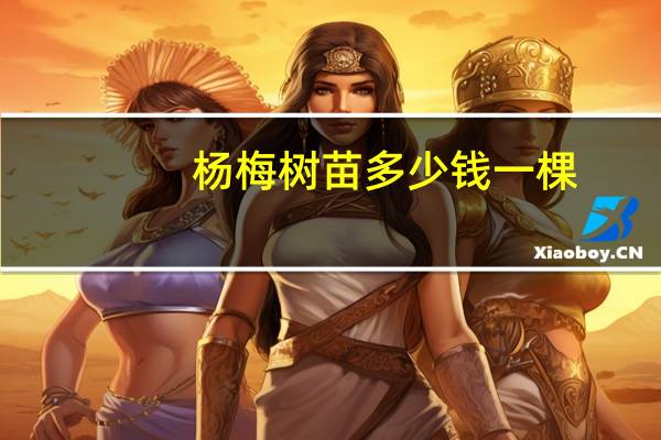 杨梅树苗多少钱一棵
