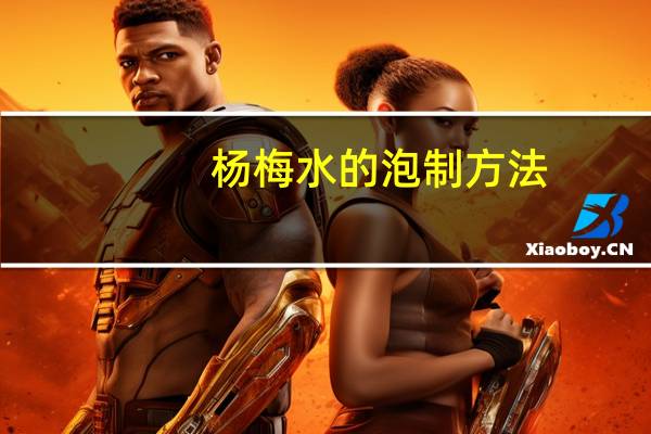 杨梅水的泡制方法