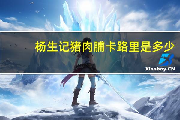 杨生记 猪肉脯卡路里是多少