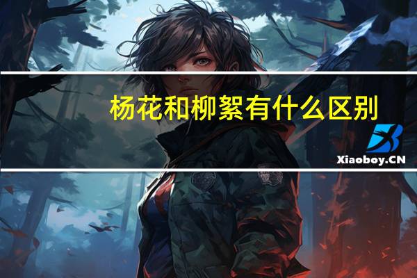 杨花和柳絮有什么区别