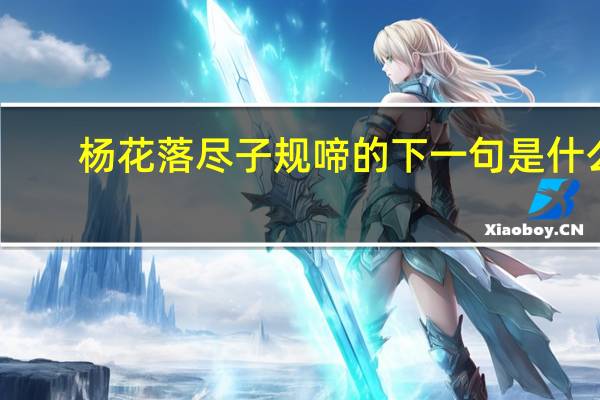 杨花落尽子规啼的下一句是什么