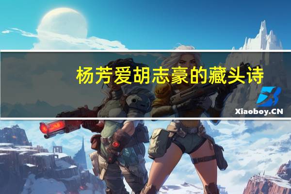 杨芳爱胡志豪的藏头诗